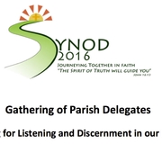 Gathering of Parish Delegates - Preparing for <span>Listening and Discernment in our Parishes</span>
