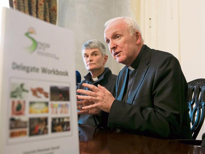 <span>Limerick Leader</span> - Policy document to be produced from Limerick Diocesan Synod
