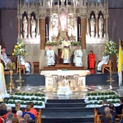 Closing Mass of the Limerick Diocesan Synod 2016