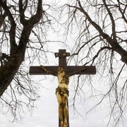 The Irish Times - Women must play bigger role in church, Synod hears