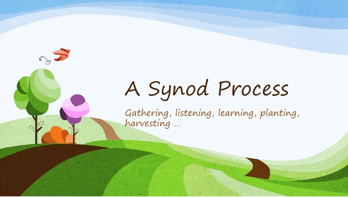 A Visual Overview of the Synod Process