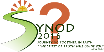 Where are we now and where are are we headed <span>on our Synod Journey?</span>
