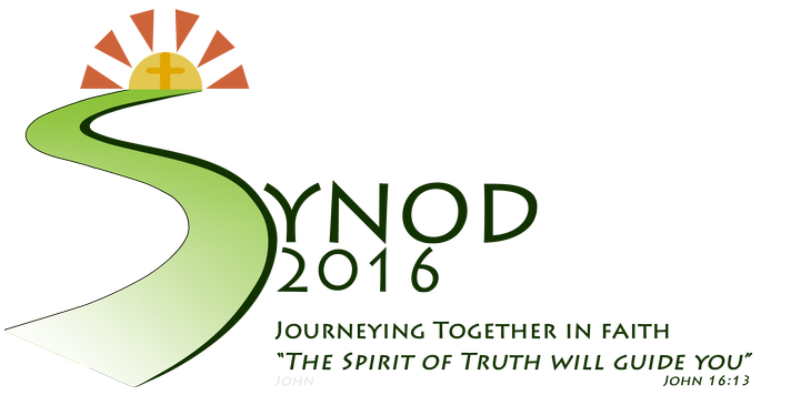 Limerick Diocesan Synod 2016 <span>Your Church, Your Voice</span>